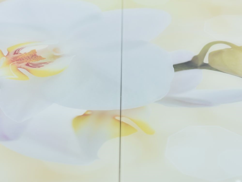 Товар Стол «Ривьера» фотопечать Цветы-5, хром MD53818